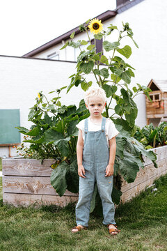 little toddler boy looking angry in front of sunflowers