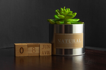 June 08. Image of the calendar June 08 wooden cubes and an artificial plant on a brown wooden table reflection and black background. with empty space for text