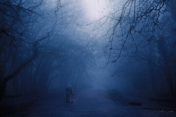 Man walking through the deep blue dark forest. Early morning, winter forest in England.