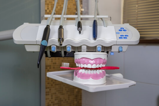 Clean teeth dental jaw model and red thooth brush on the table