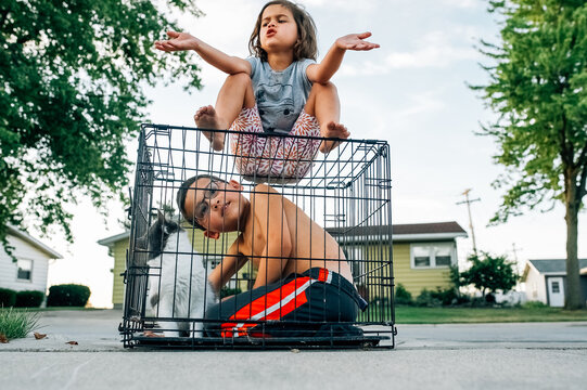 Children Playing With Cat Inside Of Dog Cage.