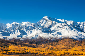 Russia, republic of Altai. Snowy peaks of the north chui range, autumn taiga