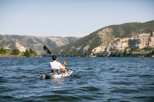 Anonymous man with dog kayaking on lake