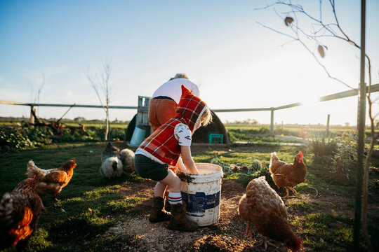 boy feeding chickens