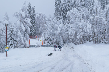 A pair of randonee skiers removing their skis after enjoying their ski down the mountain above the pretty French Alpine village of Les Contamines-Montjoie