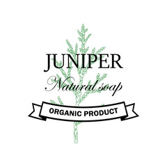 Juniper natural soap logo with hand drawn element isolated on white background. Vector illustration in vintage style