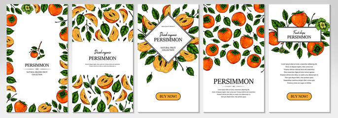 Set of hand drawn colorful persimmon vertical design. Vector illustration in colored sketch style.