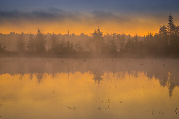 USA, New Jersey, Pine Barrens. Sunrise fog on lake.