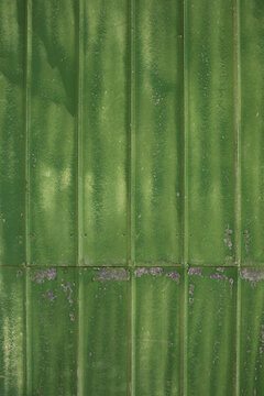 Texture green