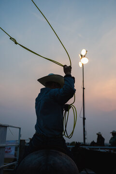 Roping Cowboy