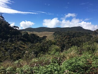 landscape with blue sky