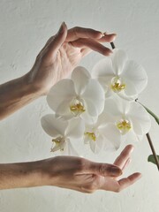 hands with orchid