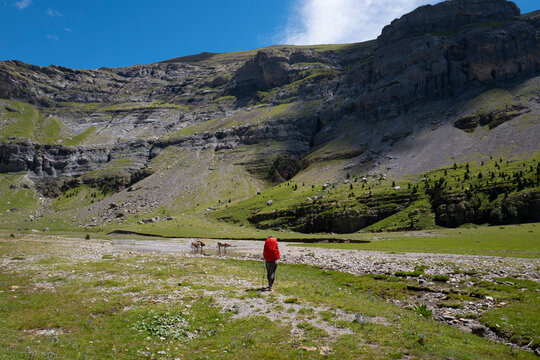 Female hiker looking at mountains in the Ordesa Y Monte Perdido National Park, Pyrenees, Spain