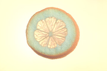 Transparent chopped lemon in the sunlight