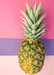 Creative  healthy food concept made of  pineapple  tropical seasonal summer fruit on overlapping paper in trendy Pastel Colors: Pink , purple   background. Healthy lifestyle diet vitamins. Flat Lay - 420587161