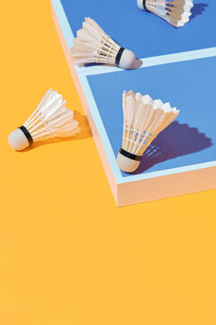 Badminton shuttlecocks in the corner of a sport court.