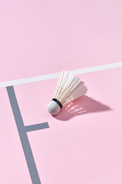 Badminton shuttlecock from feathers on a court.