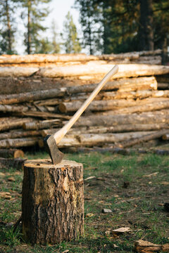Ax For Firewood