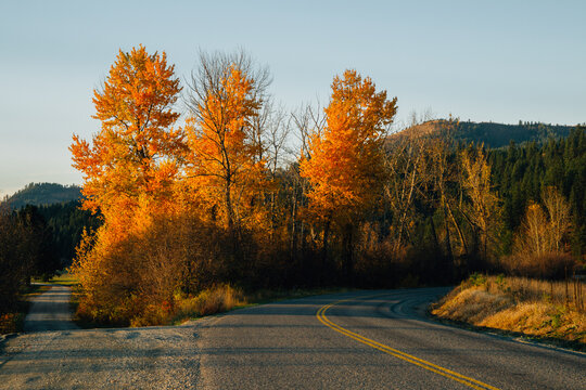 Le Clerc Road in Newport Washington