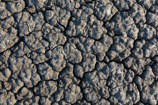 Dried earth surface background