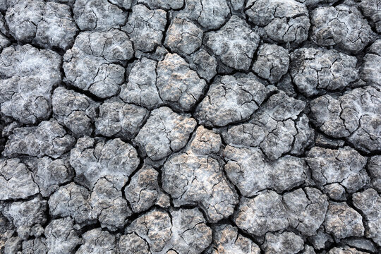 Dried earth surface background