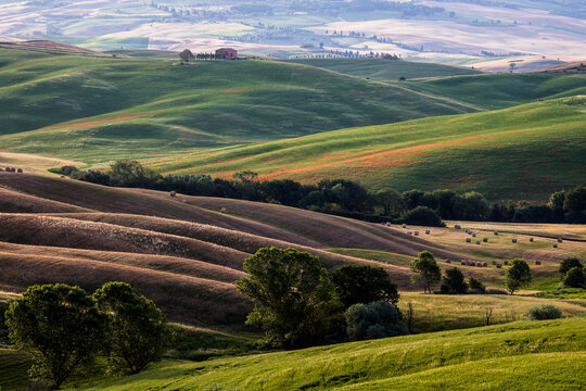 Tuscany Landescape