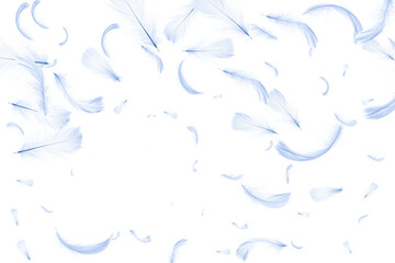 Feather soft. Pastel angel feather closeup texture falling on white background for pattern wallpaper. Fashion color trends spring summer.