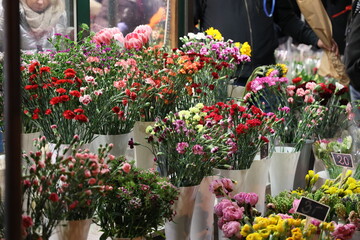 Piękne kwiaty w kwiaciarni na wrocławskim rynku. Dzień kobiet.  - obrazy, fototapety, plakaty