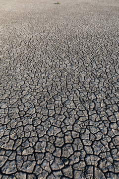 Dried earth surface background