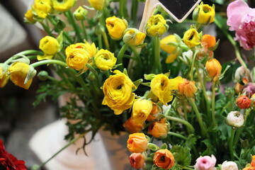 Piękne kwiaty w kwiaciarni na wrocławskim rynku. Dzień kobiet.  - obrazy, fototapety, plakaty