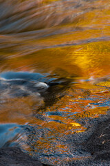 USA, New York, Adirondack State Park. Autumn reflections on stream.