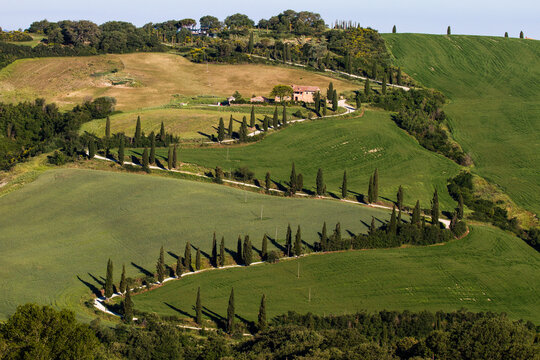 Tuscany Landescape