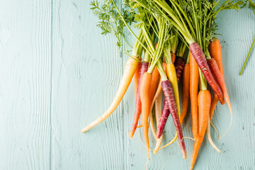 Bunch of freshly picked rainbow carrots  - 420591703