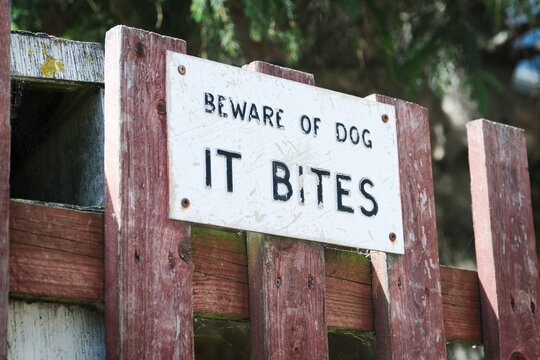Beware of Dog