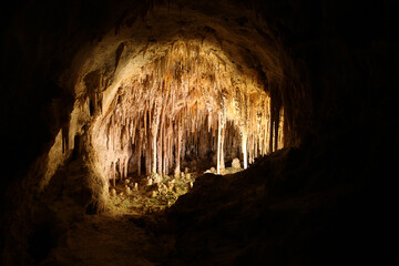 Carlsbad Caverns National Park located in the Guadalupe Mountains of southeastern New Mexico.