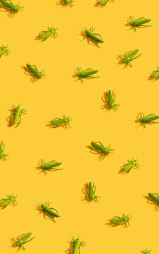 Grasshoppers