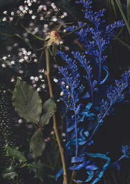 A collection of flowers and leaves captured with a flatbed scanner.