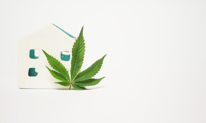 House miniature with cannabis leaf. Marijuana zero waste living. Hemp recycle. Copy space