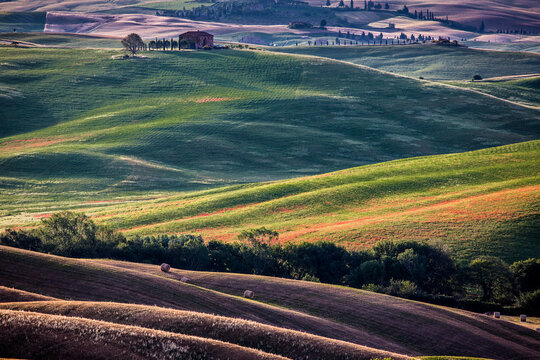 Tuscany Landescape