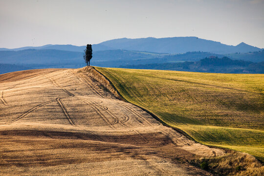 Tuscany Landescape