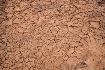 Detralha de solo de terra seca