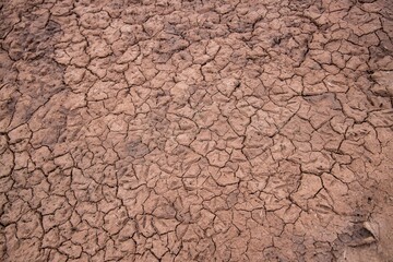 Detralha de solo de terra seca