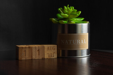 August 11. Image of the calendar August  11 wooden cubes and an artificial plant on a brown wooden table reflection and black background. with empty space for text