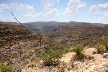 Rattlesnake Canyon is part of Carlsbad Caverns National Park located near Carlsbad, New Mexico.