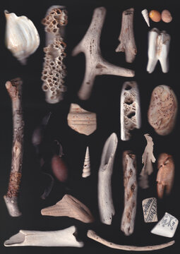 Collection of beach finds, scan photography