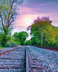 Train Tracks Landscape With Trees
