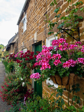 Pretty row of terraced cottages in rural England