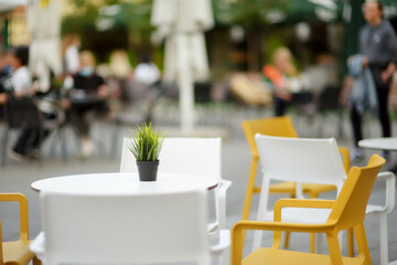 Outdoor restaurant table beautifully decorated with plants and flowers in Vilnius, Lithuania