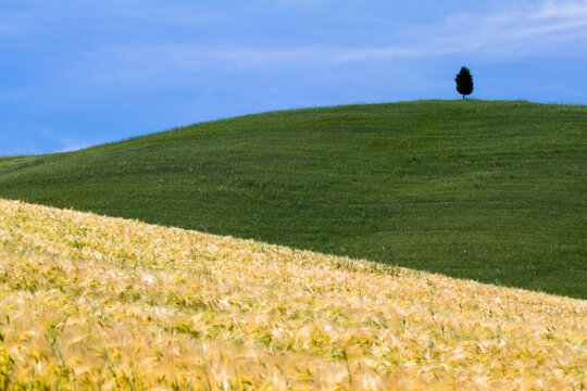 Tuscany Landescape
