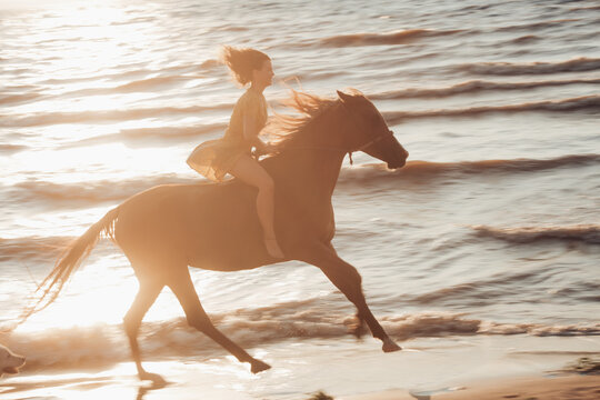 Portraits of a young woman riding horse on a summer day